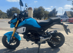 2019 Honda Grom (MSX125)