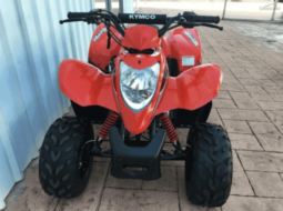 
										2020 Kymco MAXXER 50 full									