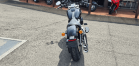 2021 Harley-Davidson Slim 107 (FLSL)